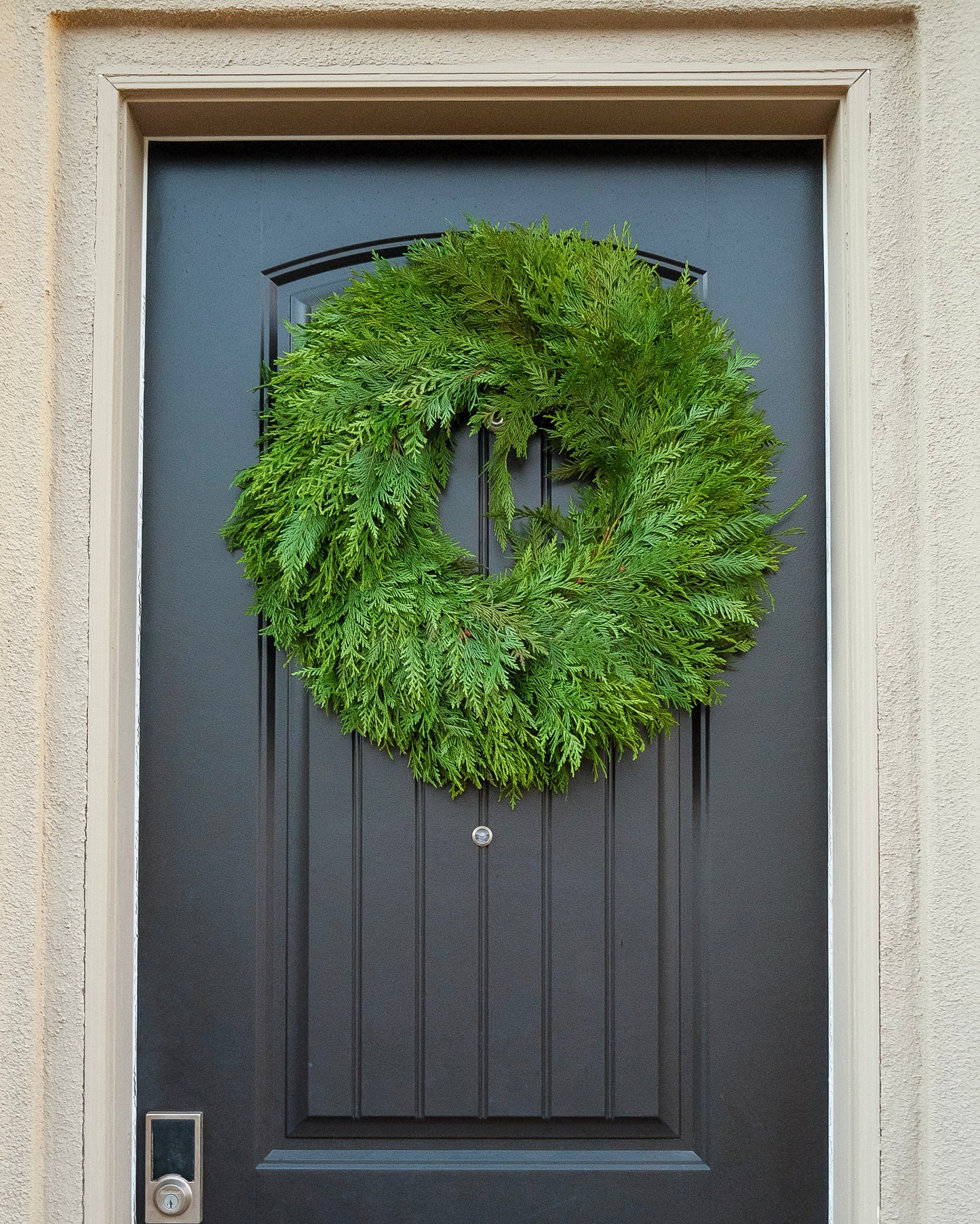 Winter Solstice 26" Fresh Cedar Wreath